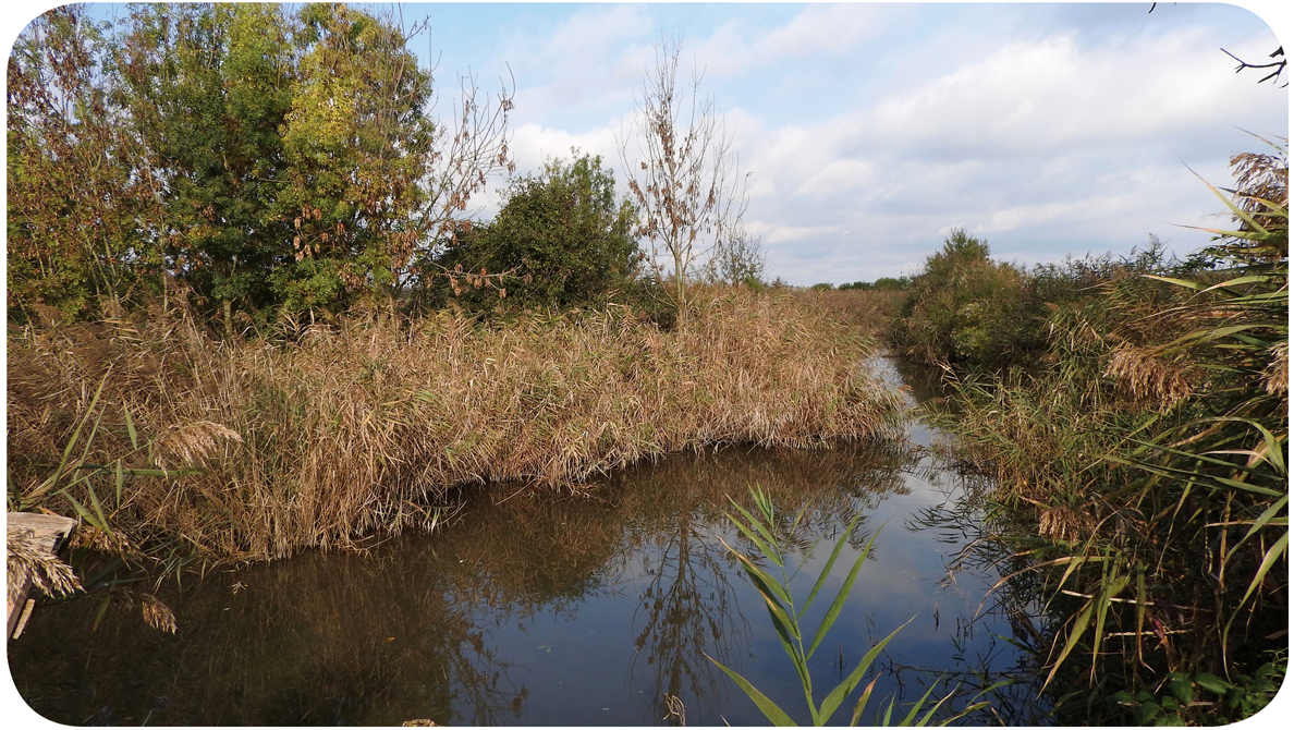 canale Oasi