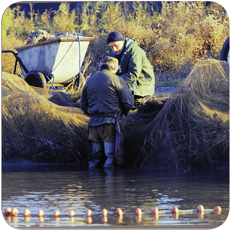 La pesca in valle