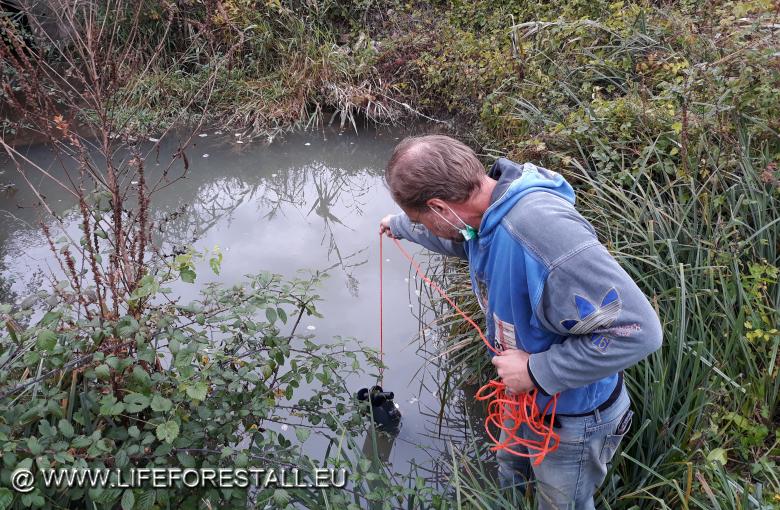 Campagna trimestrale di prelievo delle acque superficiali