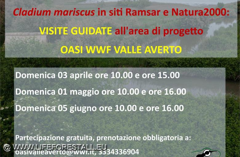 prossimi open-days