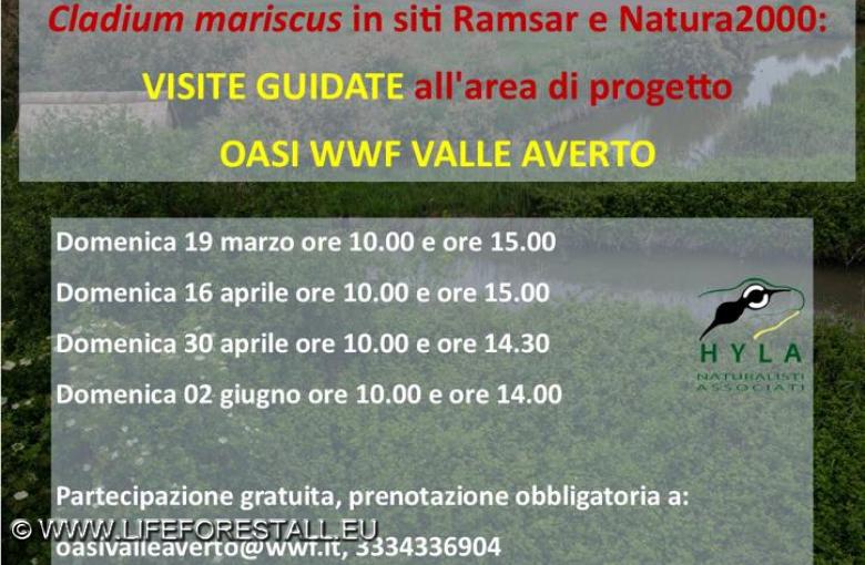 Prossimi open days primavera