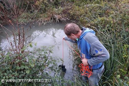 Campagna trimestrale di prelievo delle acque superficiali