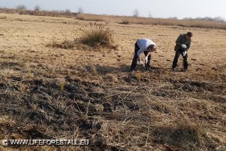 Impianto cladieto in nuova area M