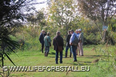 Incontro con esperti per presentare le attività svolte