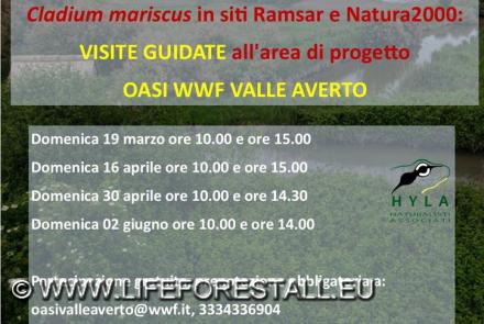 Prossimi open days primavera